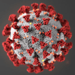 Coronavirus